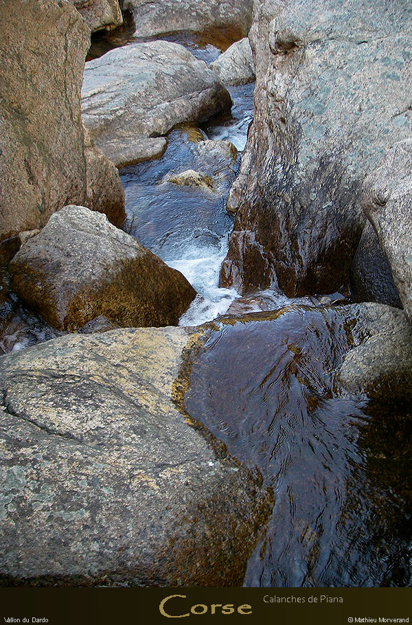 20080405_imgp3693