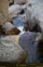 20080405_imgp3693
