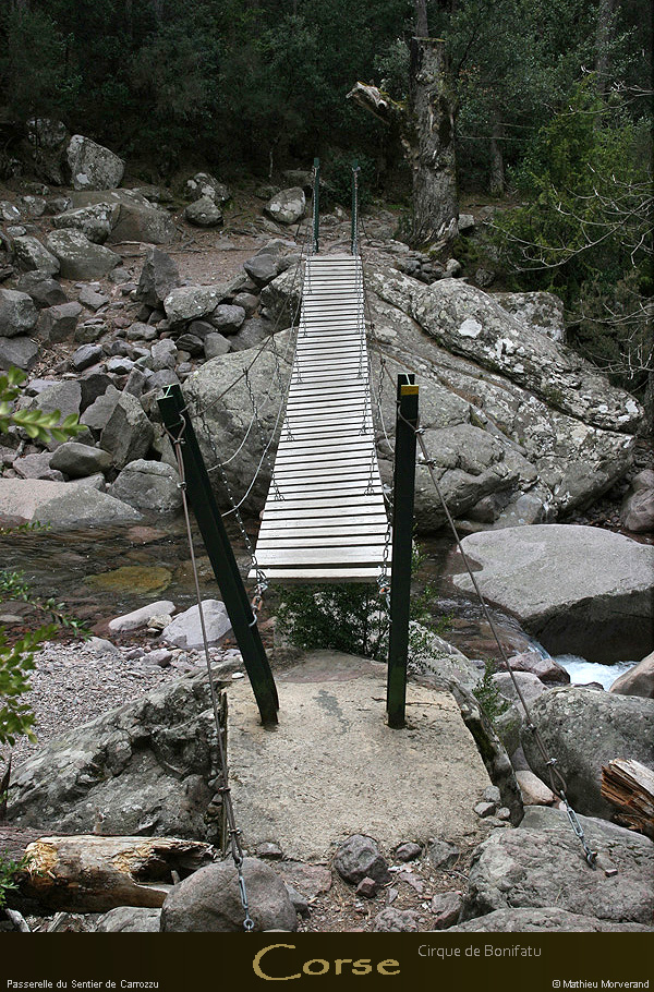 20080406_img_1754