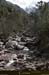 20080406_img_1539