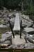 20080406_img_1754