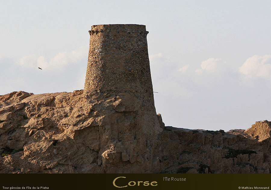 20080406_pietratou05