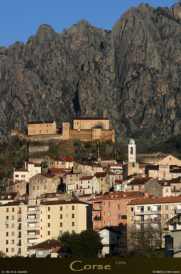 20180413_corte2