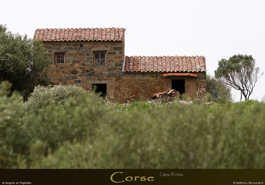 20180415_capurossu_cabane2
