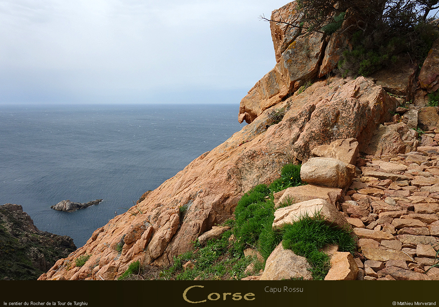 20180415_capurossu_sentier08