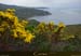 20180415_capurossu_ansecaladipalu06