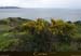 20180415_capurossu_ansecaladipalu07