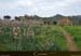 20180415_capurossu_cabane1