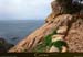20180415_capurossu_sentier08