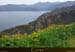 20180415_pianarteficaghiolabelv2