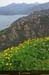 20180415_pianarteficaghiolabelv4
