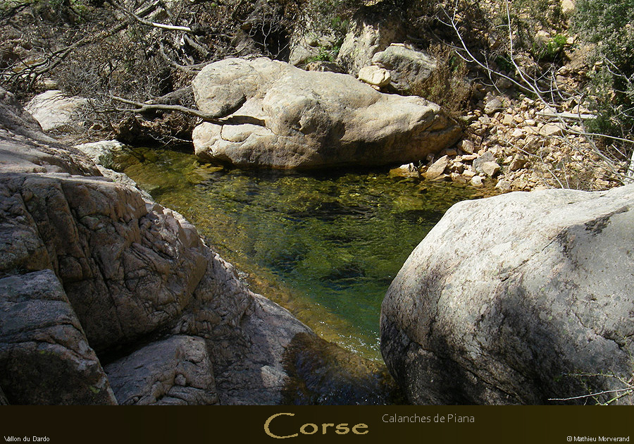 20080405_imgp3697