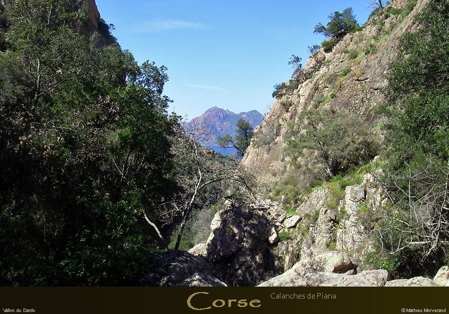 20080405_imgp3780