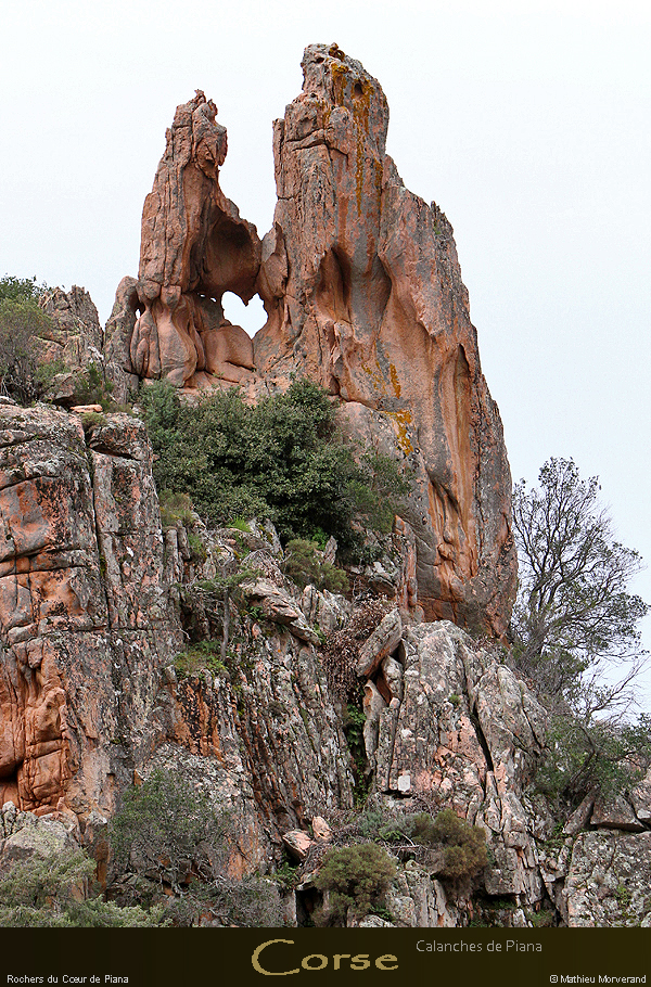 20180415_pianacalanchescoeur05