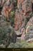 20180415_pianadardo3
