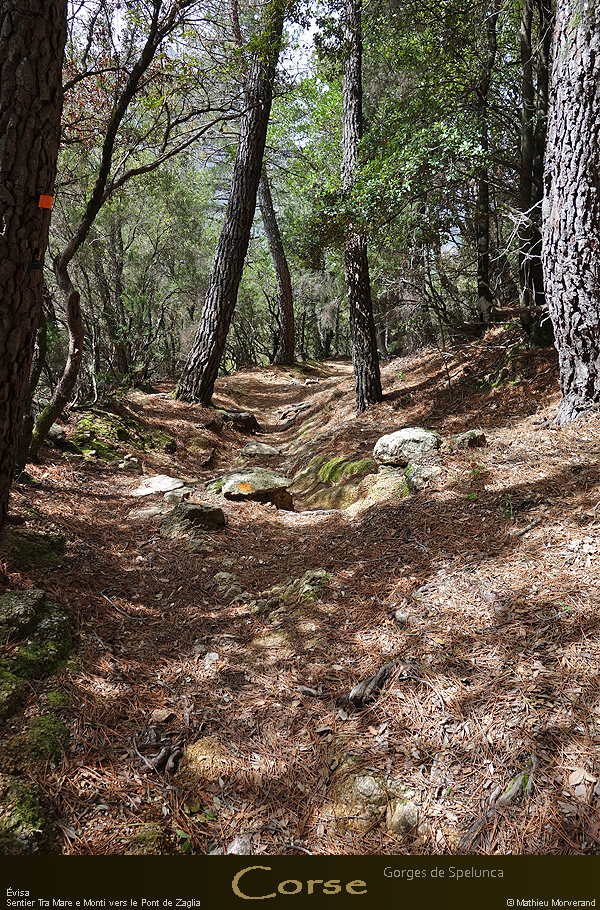 20180414_sentierspilonca03