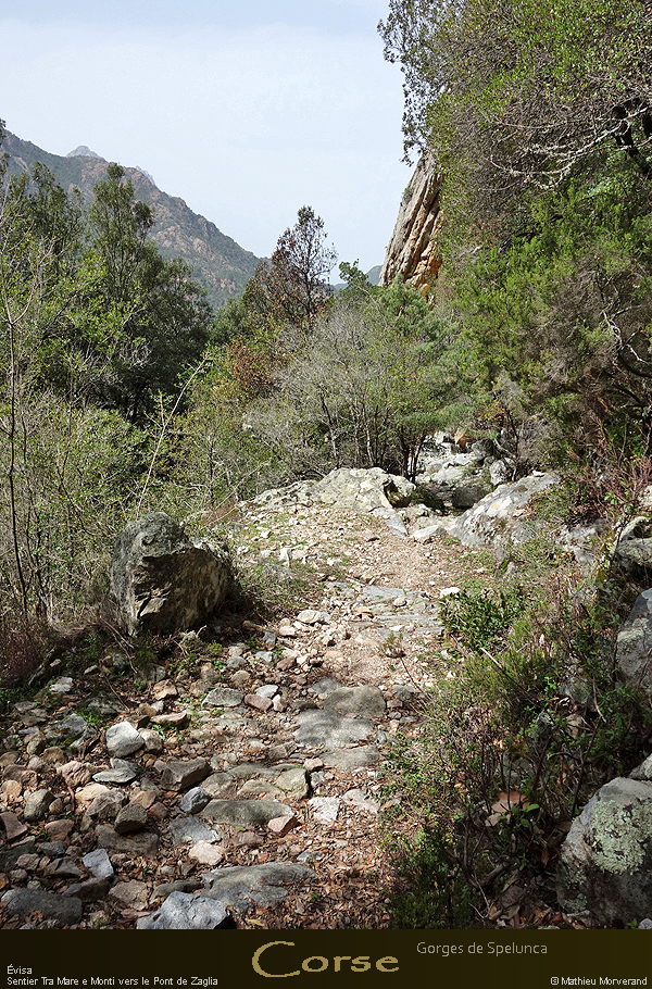 20180414_sentierspilonca04