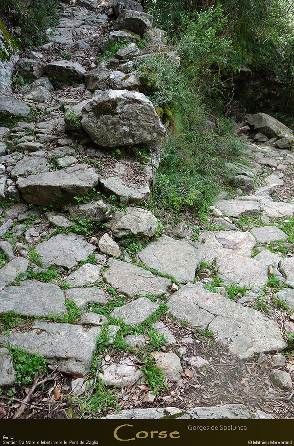 20180414_sentierspilonca06