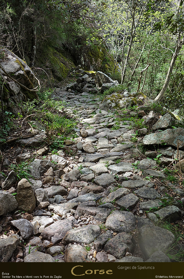 20180414_sentierspilonca07