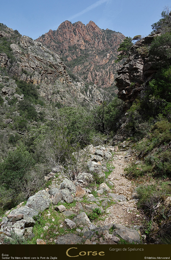 20180414_sentierspilonca09