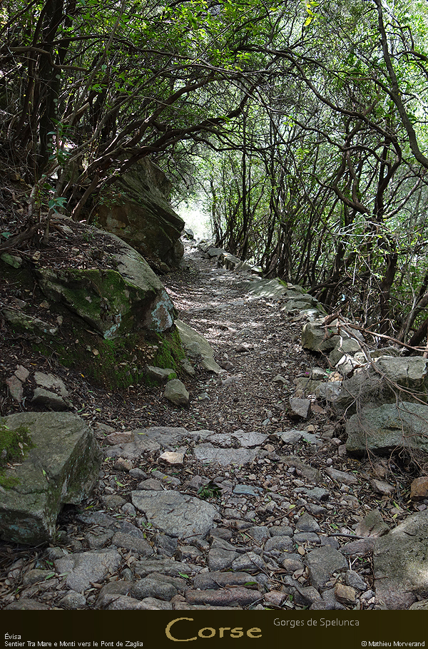 20180414_sentierspilonca10
