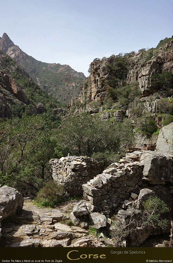 20180414_sentierspilonca11