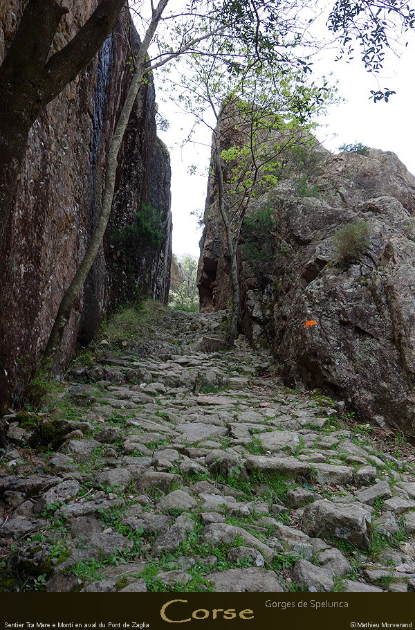 20180414_sentierspilonca14