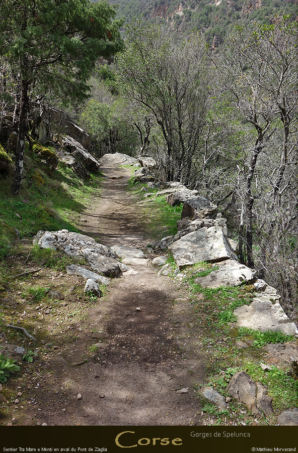 20180414_sentierspilonca15