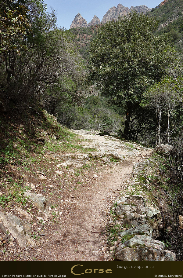 20180414_sentierspilonca16