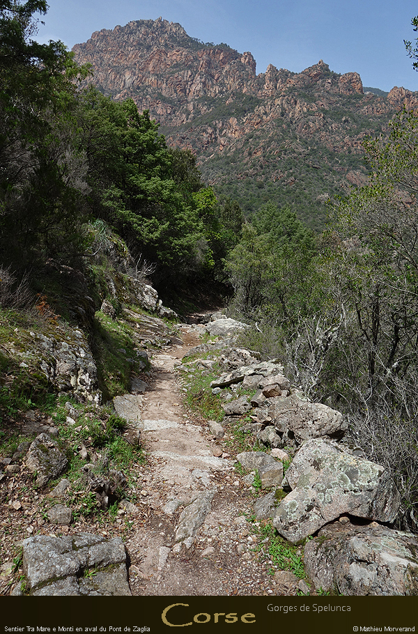 20180414_sentierspilonca17