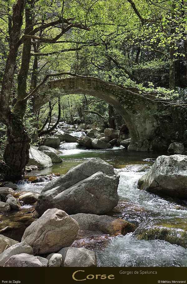 20180414_sentierspilonca_ptzaglia5
