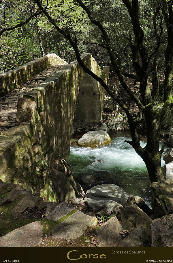 20180414_sentierspilonca_ptzaglia6
