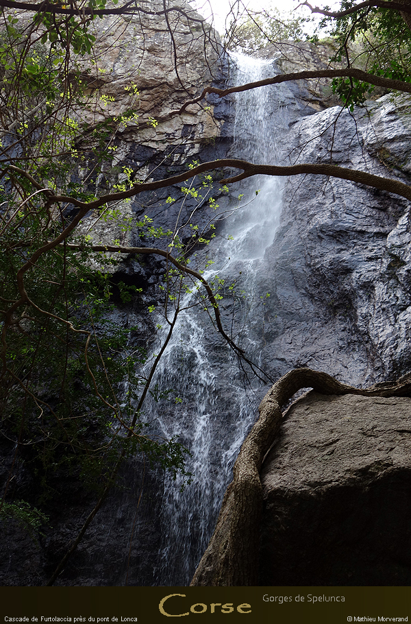 20180414_spelunca20