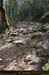 20180414_sentierspilonca02