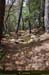 20180414_sentierspilonca03