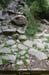 20180414_sentierspilonca06