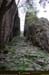 20180414_sentierspilonca14
