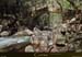 20180414_sentierspilonca_ptzaglia3