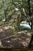 20180414_sentierspilonca_ptzaglia7
