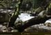 20180414_sentierspilonca_ptzagliaam1