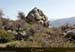 20180414_golo_pelle4