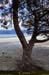 20180413_golfestflorent_agriates_lotuplage11