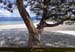 20180413_golfestflorent_agriates_lotuplage12