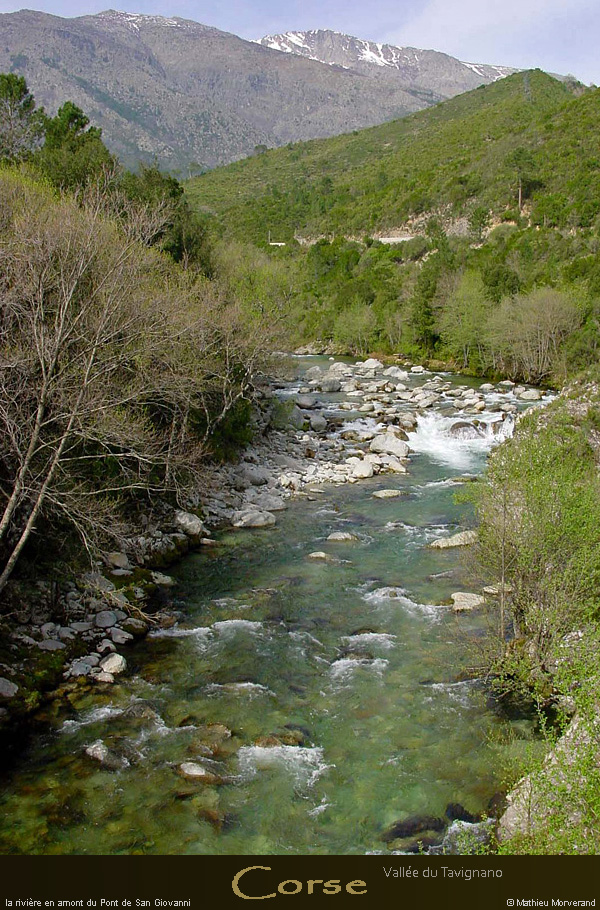 20010325_tavignanodupontdesangiovani_1