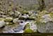 20010329_golo_affluent