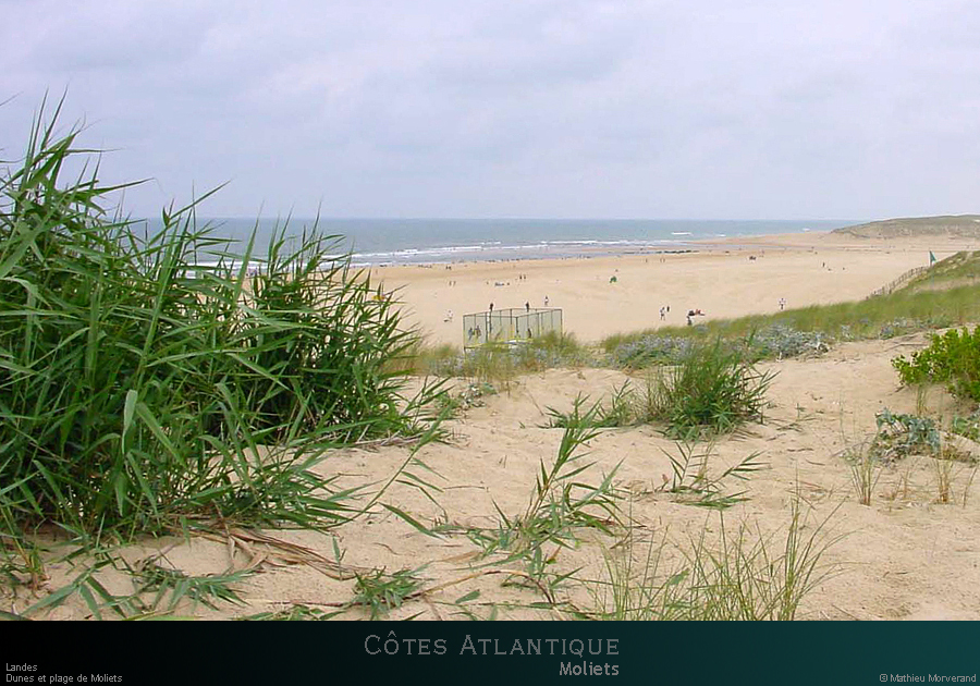 20010727_moliets_dunes4