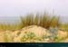 20010727_moliets_dunes2