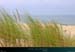 20010727_moliets_dunes5