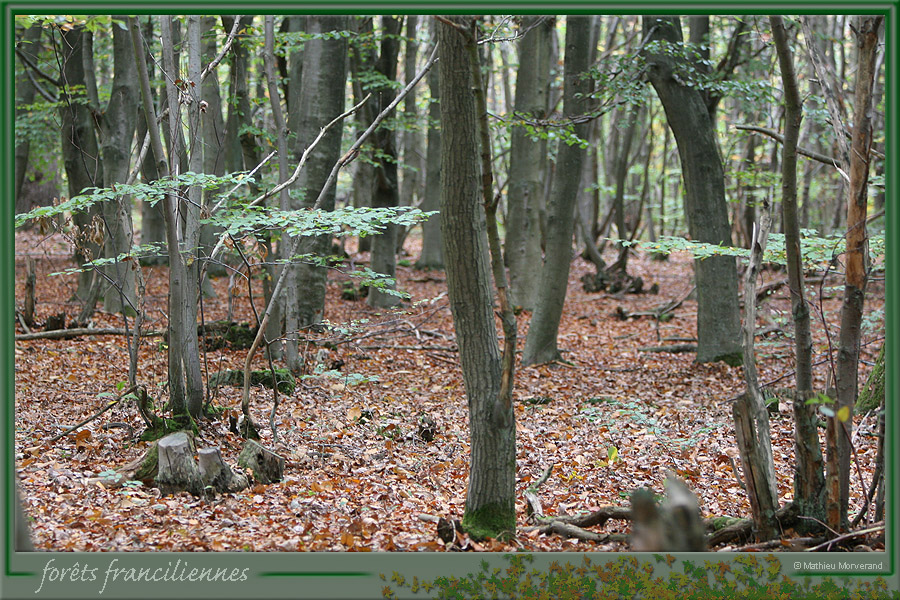 20051030_marly_03
