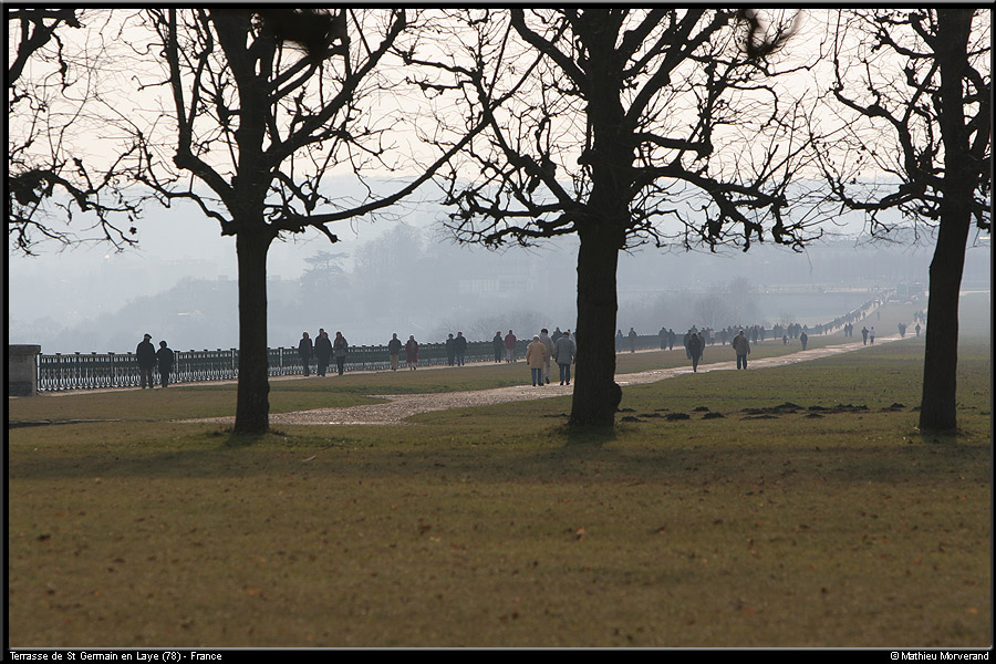 20060115_terrassedestgermain_04